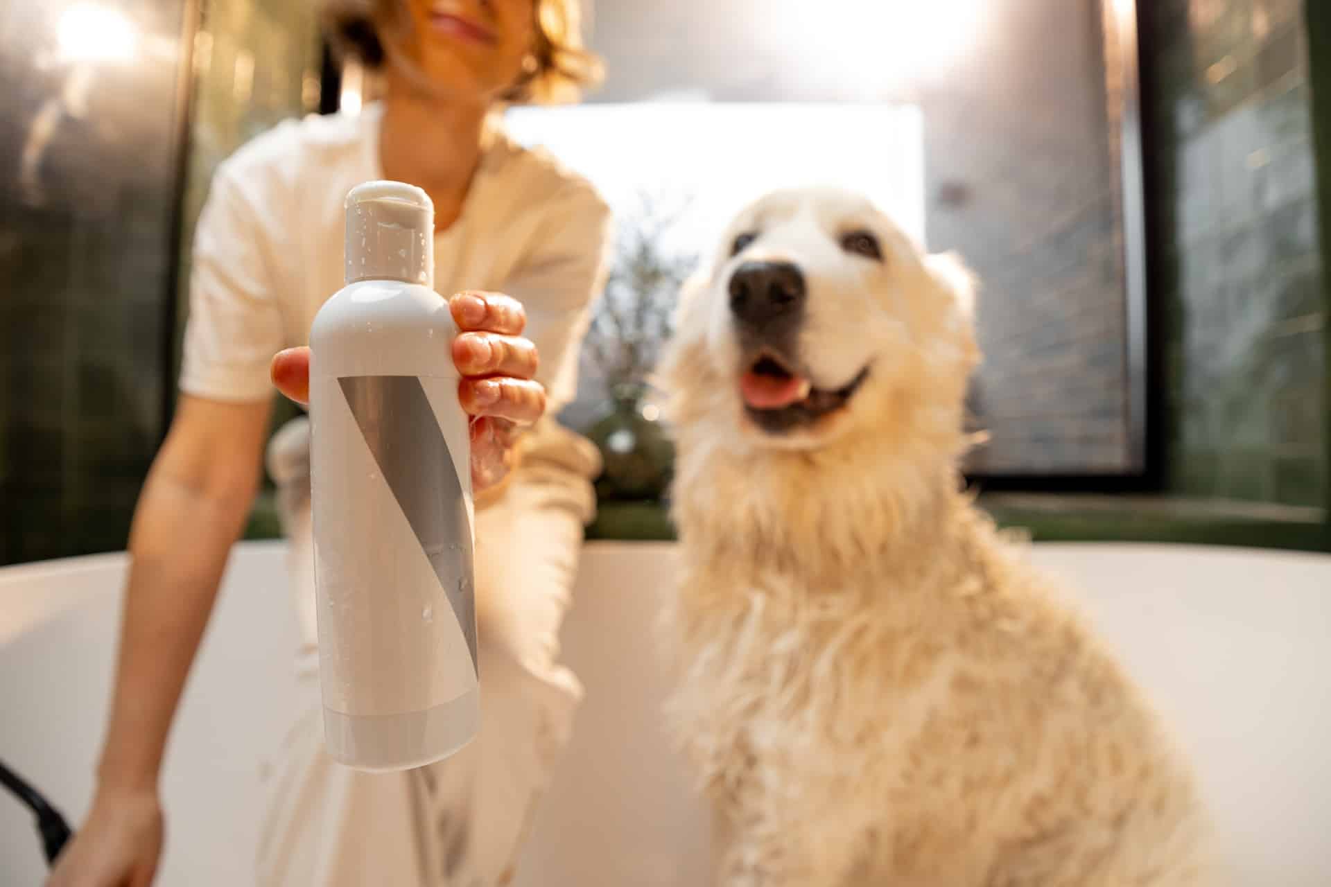 Hundepflege im Badezimmer | Purinarmes Hundefutter